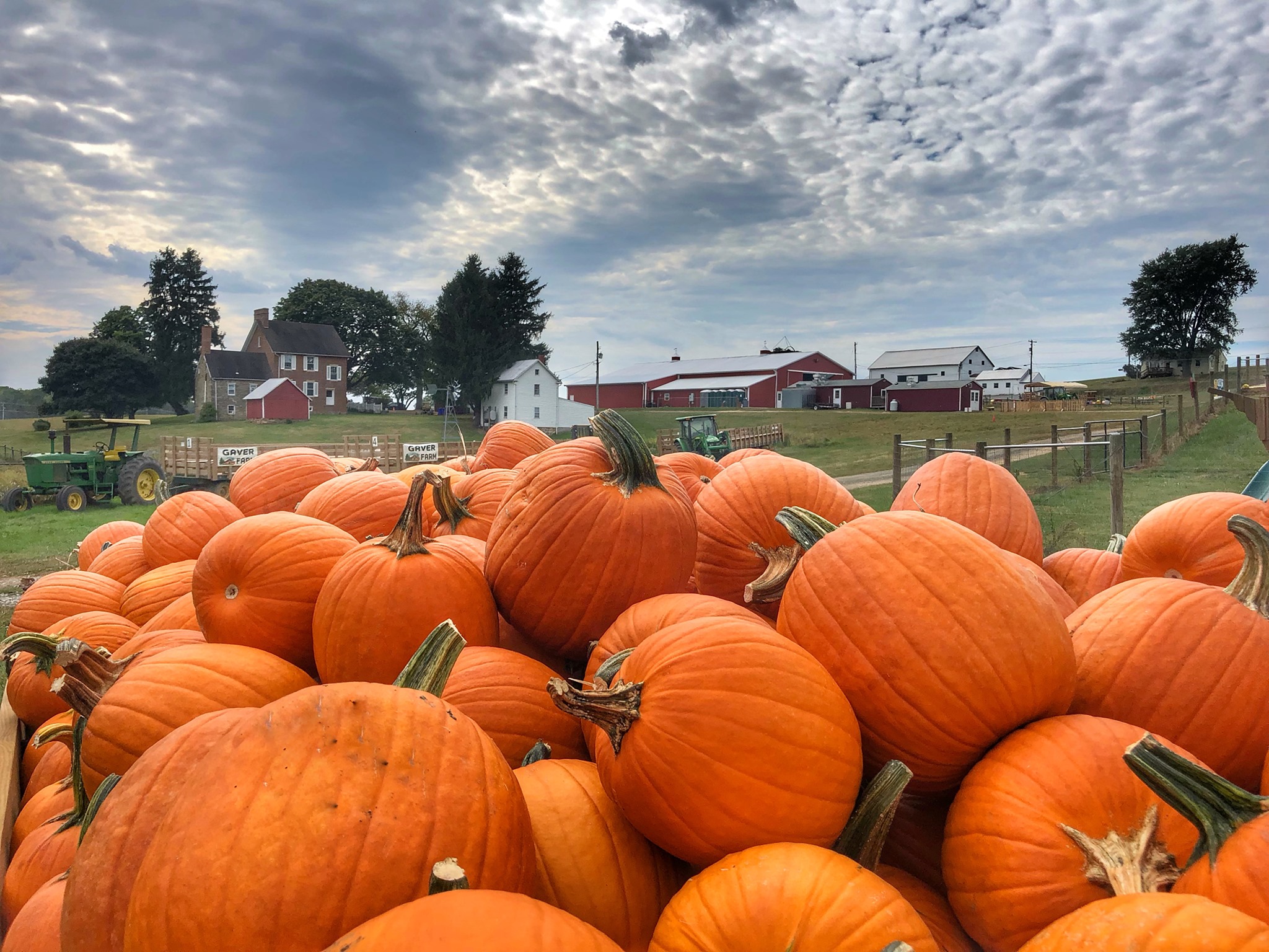 116262778_4094240330651352_2701455466649091562_n