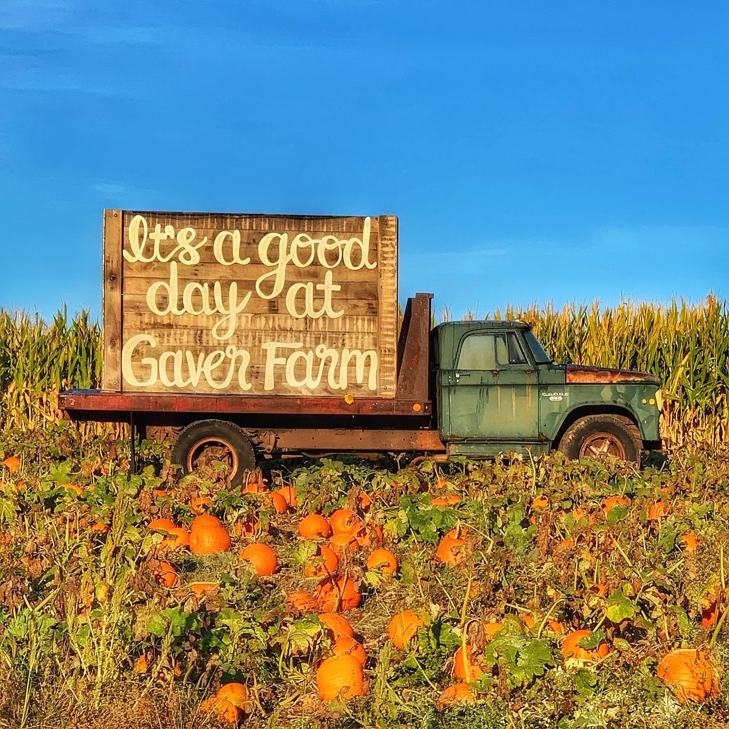 244318337_6153206371421394_5492994917021431803_n