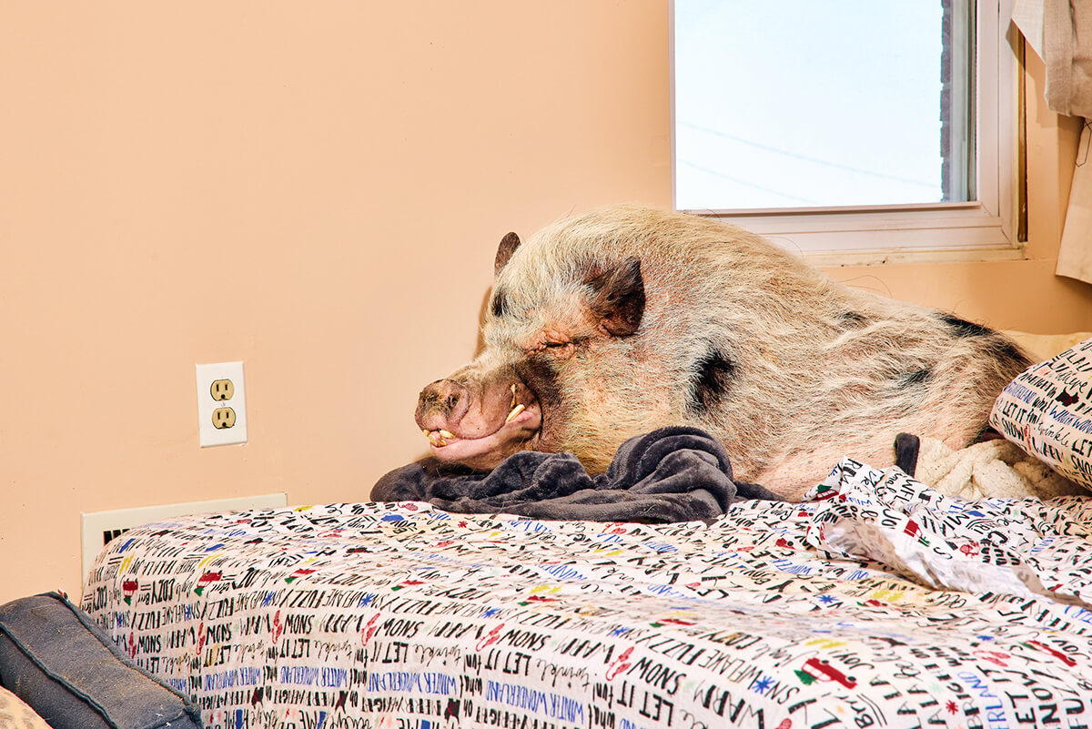 Jesse Sandlin_Baltimore Magazine_2024-04-23_TSUCALAS_2C7A5772