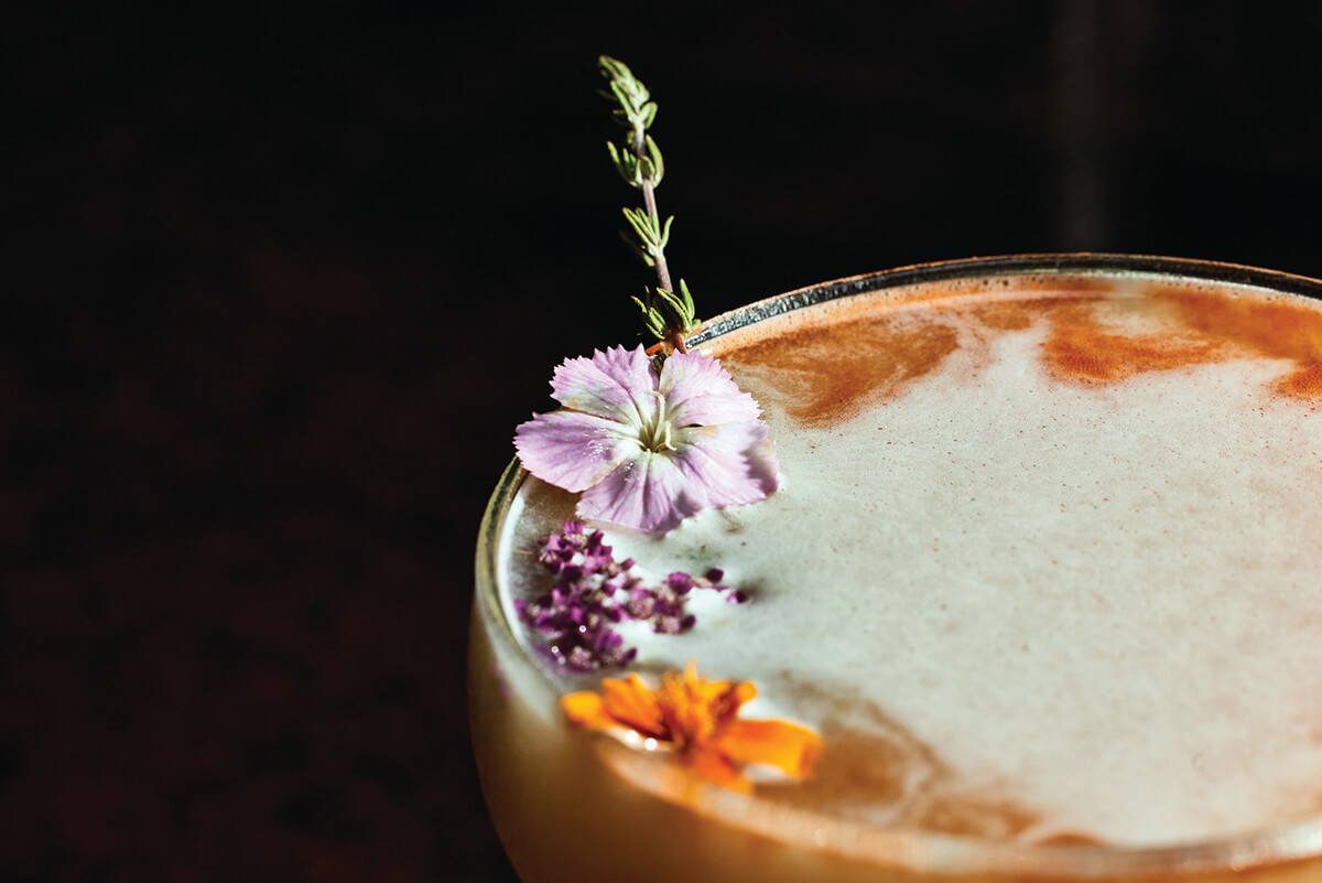 Motto_Local Flavor_2025-07-22_TSUCALAS_2C7A4362_CMYK