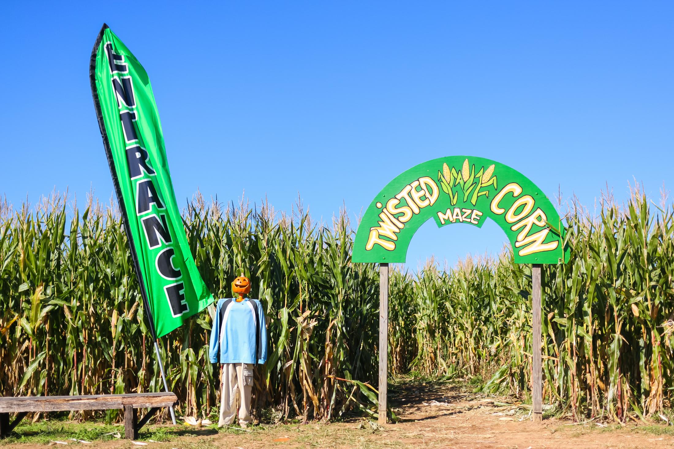 shutterstock_591359855