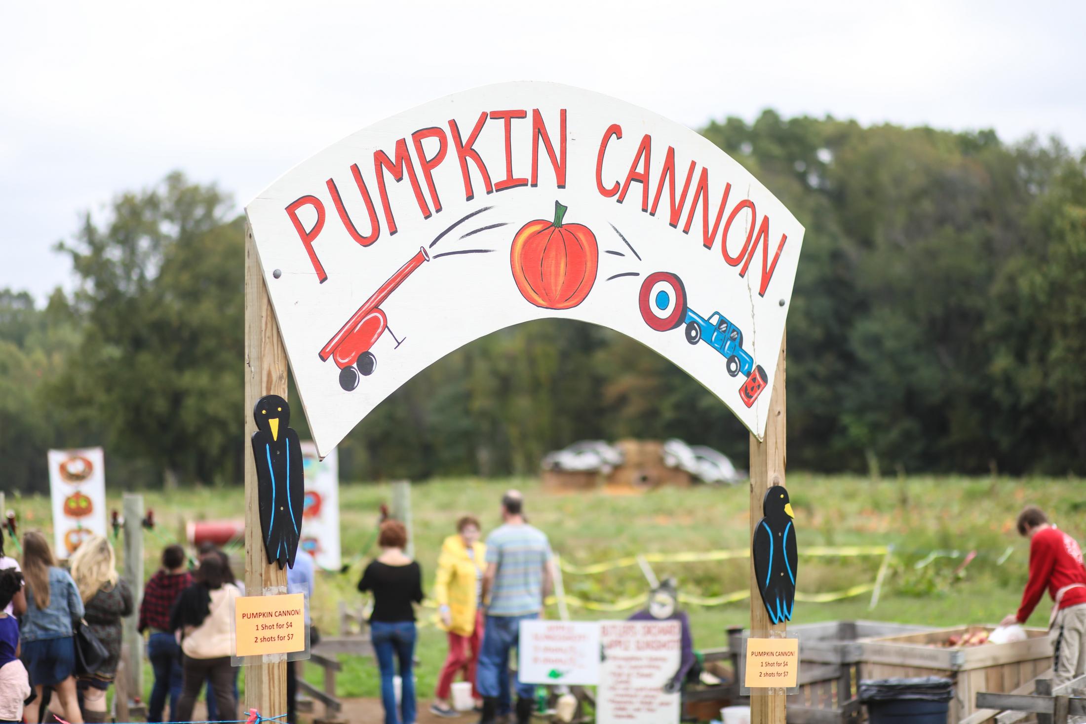 shutterstock_737080789